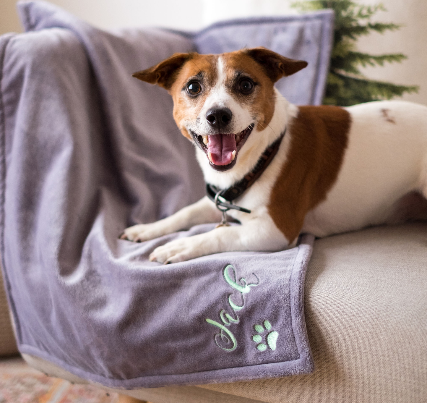 Personalized Dog Blanket New Puppy Gift Grey Personalized Gift Pet Owner (grey)