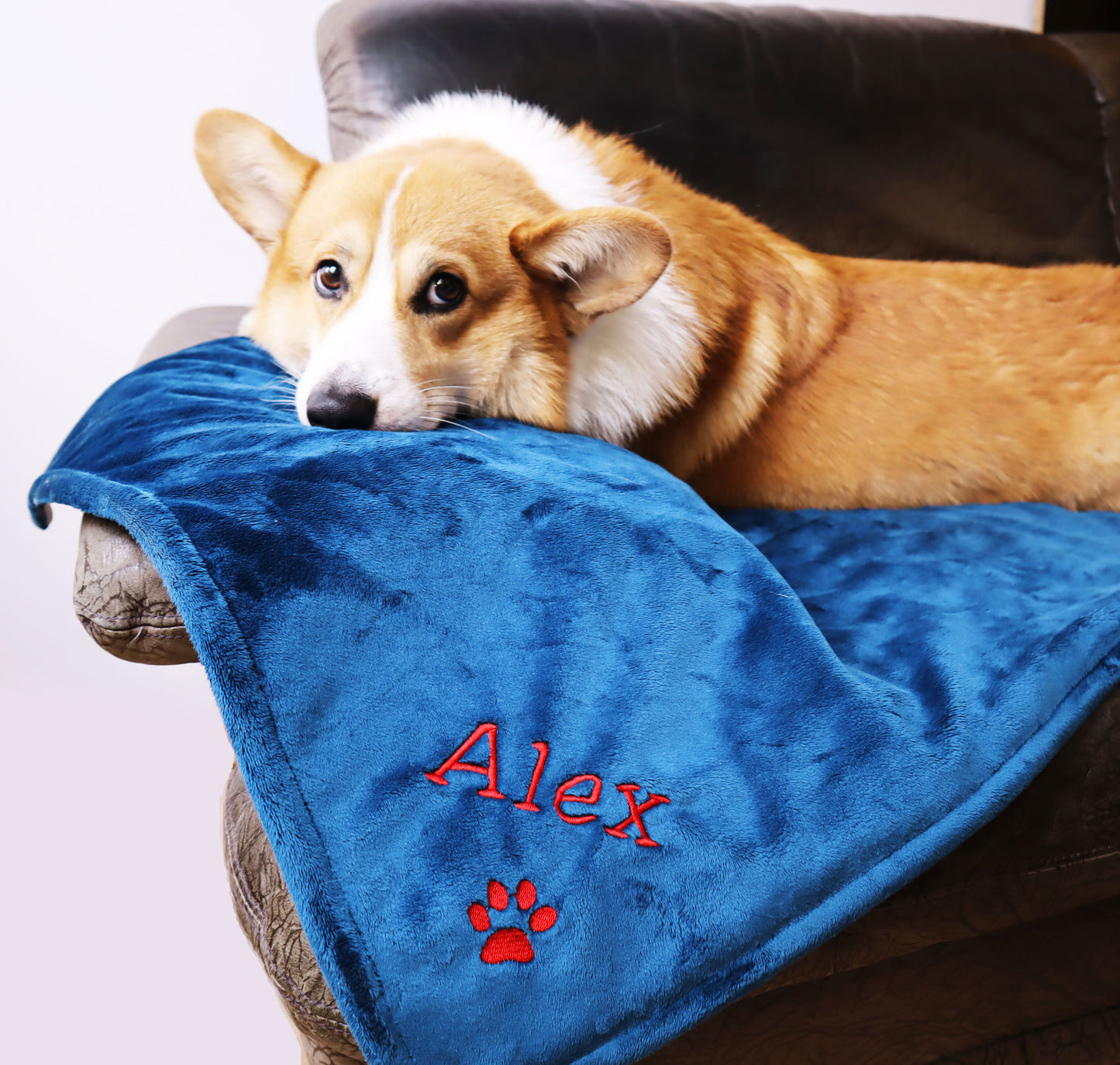 Personalized Dog Blanket New Puppy Gift Grey Personalized Gift Pet Owner (navy)